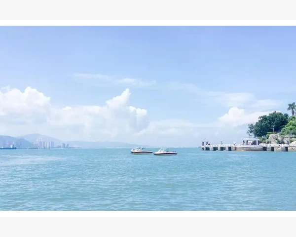 脾虚湿盛与气血不足的原因及调理方法