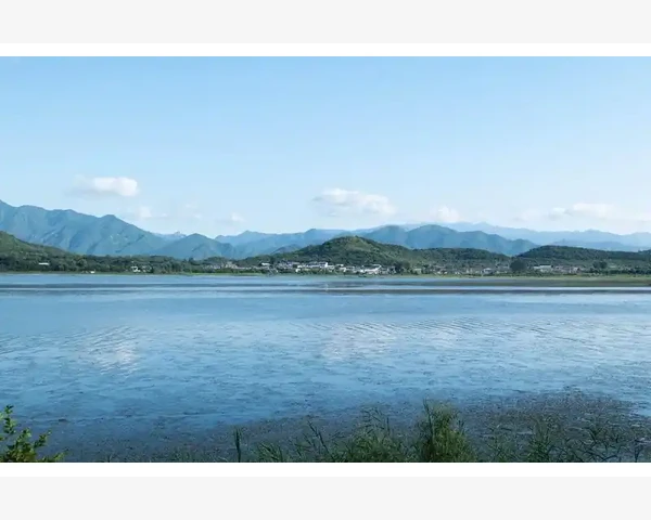 五岁孩子脾胃虚弱，如何调理才能让孩子远离消化问题？